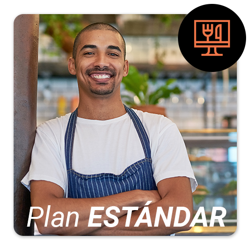Plan Estándar